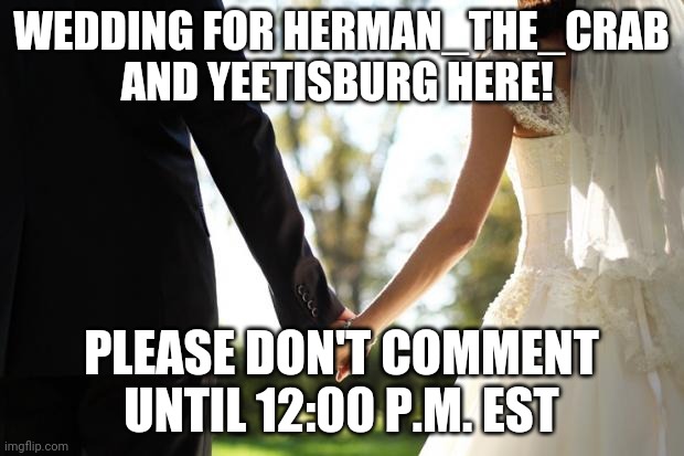 I will be hosting an after party. | WEDDING FOR HERMAN_THE_CRAB AND YEETISBURG HERE! PLEASE DON'T COMMENT UNTIL 12:00 P.M. EST | image tagged in wedding | made w/ Imgflip meme maker