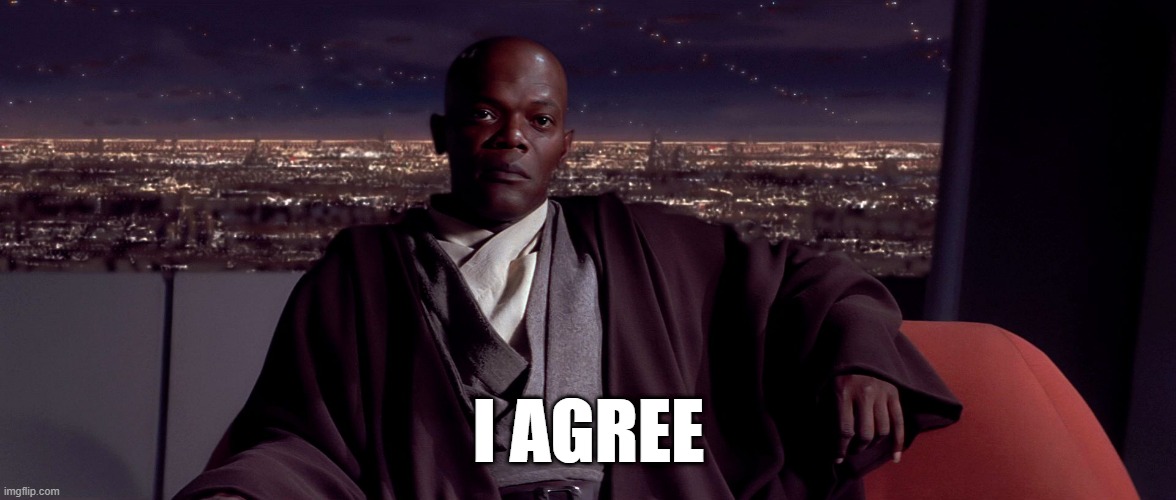 Mace Windu I agree | I AGREE | image tagged in mace windu i agree | made w/ Imgflip meme maker