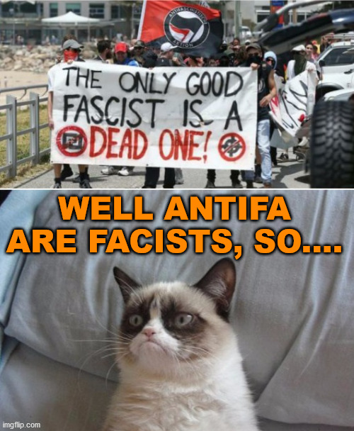 Grumpy cat vs antifa  | WELL ANTIFA ARE FACISTS, SO.... | image tagged in grumpy cat vs antifa | made w/ Imgflip meme maker