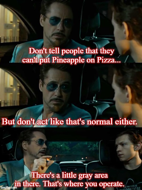 Tony Stark Grey Area | Don't tell people that they can't put Pineapple on Pizza... But don't act like that's normal either. | image tagged in tony stark grey area | made w/ Imgflip meme maker