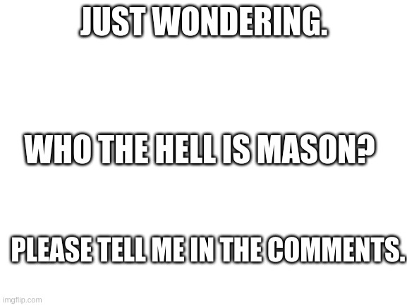 seriously IDK | JUST WONDERING. WHO THE HELL IS MASON? PLEASE TELL ME IN THE COMMENTS. | image tagged in blank white template | made w/ Imgflip meme maker