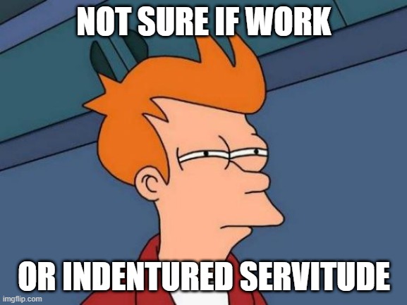 Futurama Fry | NOT SURE IF WORK; OR INDENTURED SERVITUDE | image tagged in memes,futurama fry | made w/ Imgflip meme maker