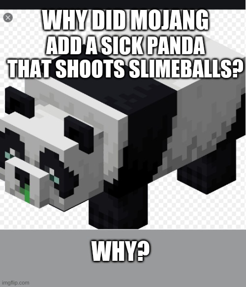 Y Tho? | WHY DID MOJANG; ADD A SICK PANDA THAT SHOOTS SLIMEBALLS? WHY? | image tagged in minecraft panda,y | made w/ Imgflip meme maker