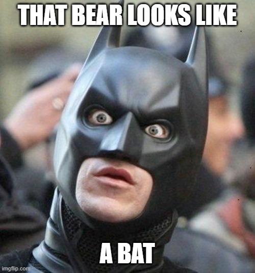Shocked Batman | THAT BEAR LOOKS LIKE A BAT | image tagged in shocked batman | made w/ Imgflip meme maker