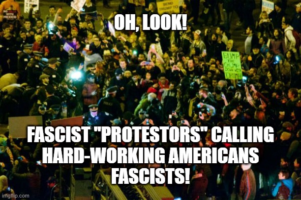 Protestors don't realize THEY'RE fascists | OH, LOOK! FASCIST "PROTESTORS" CALLING
HARD-WORKING AMERICANS
FASCISTS! | image tagged in trump protestors | made w/ Imgflip meme maker