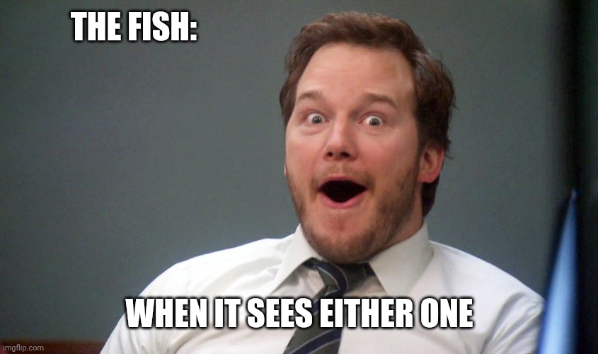 Oooohhhh | THE FISH: WHEN IT SEES EITHER ONE | image tagged in oooohhhh | made w/ Imgflip meme maker