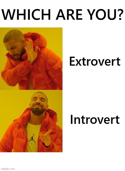 WHICH ARE YOU? Extrovert; Introvert | image tagged in drake introvert yes extrovert no | made w/ Imgflip meme maker