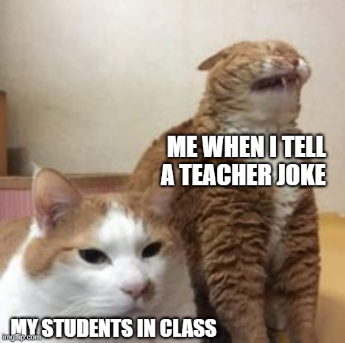 Me When I Tell A Teacher Joke | ME WHEN I TELL A TEACHER JOKE; MY STUDENTS IN CLASS | image tagged in funny cats | made w/ Imgflip meme maker