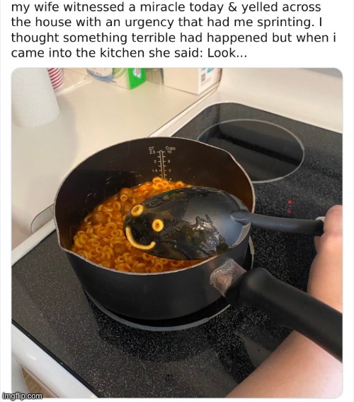 Lol! | image tagged in miracle,funny tweet,spaghettios | made w/ Imgflip meme maker
