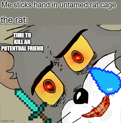 Dont pet sewage rat | Me sticks hand in untamed rat cage; the rat:; TIME TO KILL AN POTENTUAL FRIEND | image tagged in memes,unsettled tom | made w/ Imgflip meme maker