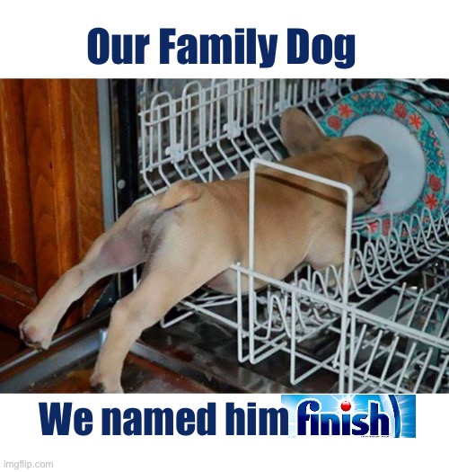 Finish | Our Family Dog; We named him | image tagged in funny memes,dish,licking,dog | made w/ Imgflip meme maker