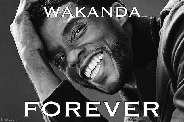 Taking a moment to remember Chadwick Boseman, a gifted actor and dignified human being taken from us way too soon. | WAKANDA; FOREVER | image tagged in chadwick boseman,r i p,wakanda,wakanda forever,black panther,avengers | made w/ Imgflip meme maker