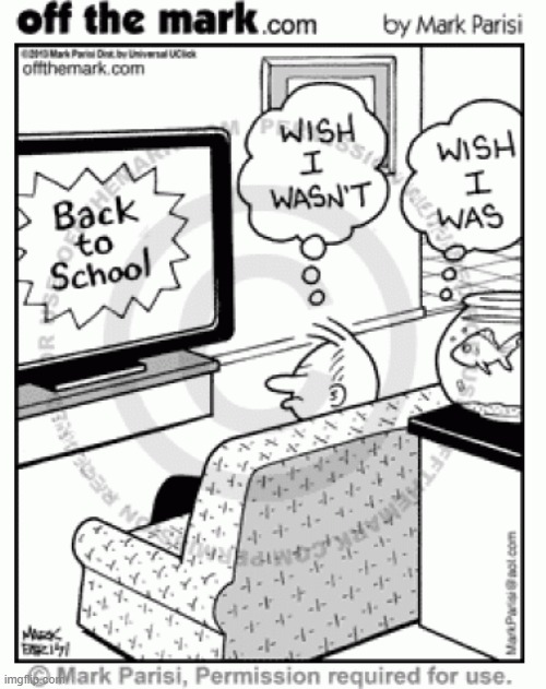 if the fish want to go to school, he HAS to go to the school of fish! | image tagged in back to school,comics/cartoons | made w/ Imgflip meme maker