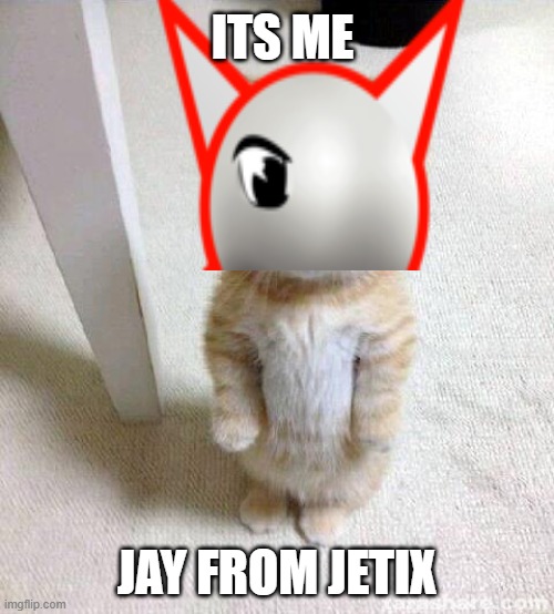 his return | ITS ME; JAY FROM JETIX | image tagged in memes,cute cat | made w/ Imgflip meme maker