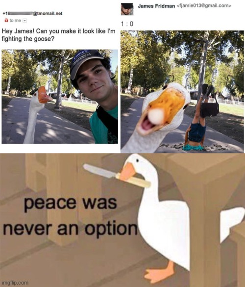 That goose got skills | image tagged in untitled goose peace was never an option | made w/ Imgflip meme maker