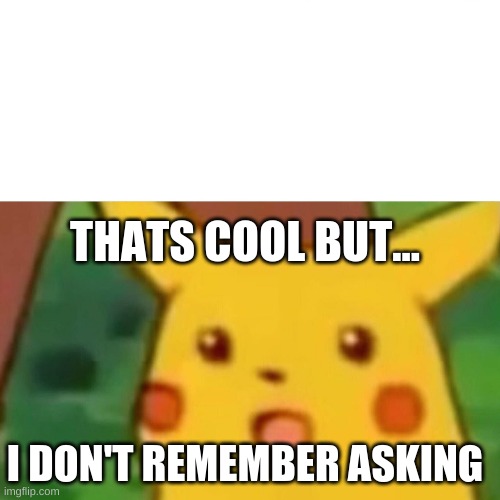 Surprised Pikachu Meme | THATS COOL BUT... I DON'T REMEMBER ASKING | image tagged in memes,surprised pikachu | made w/ Imgflip meme maker