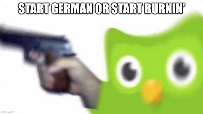 duolingo gun | START GERMAN OR START BURNIN’ | image tagged in duolingo gun | made w/ Imgflip meme maker