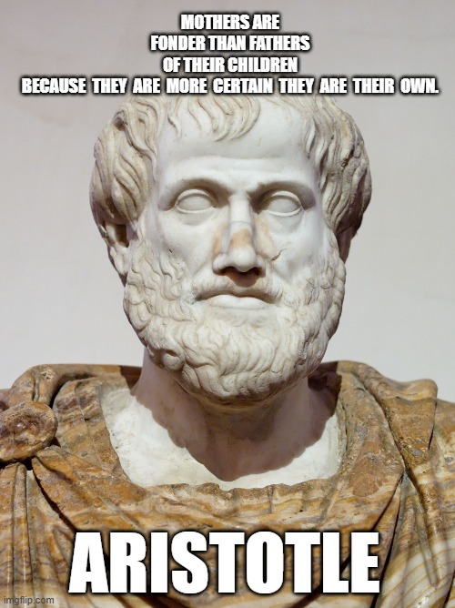 aristotle | MOTHERS ARE FONDER THAN FATHERS OF THEIR CHILDREN BECAUSE  THEY  ARE  MORE  CERTAIN  THEY  ARE  THEIR  OWN. ARISTOTLE | image tagged in aristotle | made w/ Imgflip meme maker