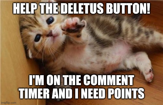 Help Me Kitten | HELP THE DELETUS BUTTON! I'M ON THE COMMENT TIMER AND I NEED POINTS | image tagged in help me kitten | made w/ Imgflip meme maker