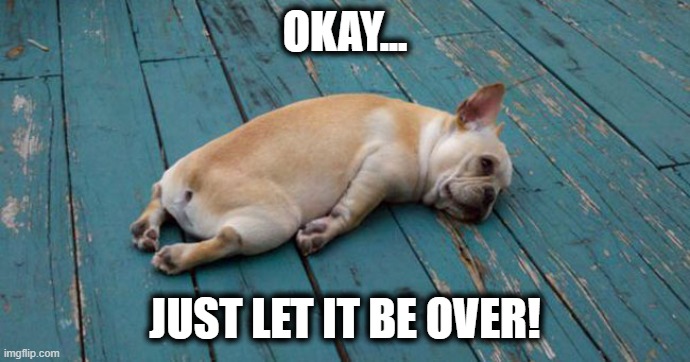 Exhausted  | OKAY... JUST LET IT BE OVER! | image tagged in exhausted | made w/ Imgflip meme maker