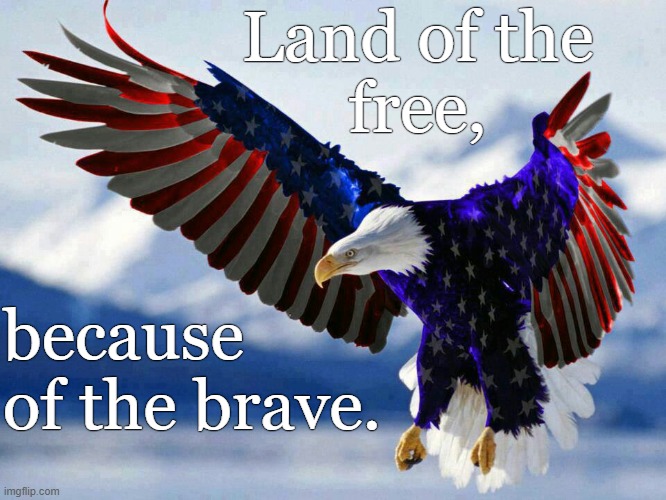 THIS! | Land of the
free, because of the brave. | image tagged in patriotic flag eagle in red white and blue | made w/ Imgflip meme maker