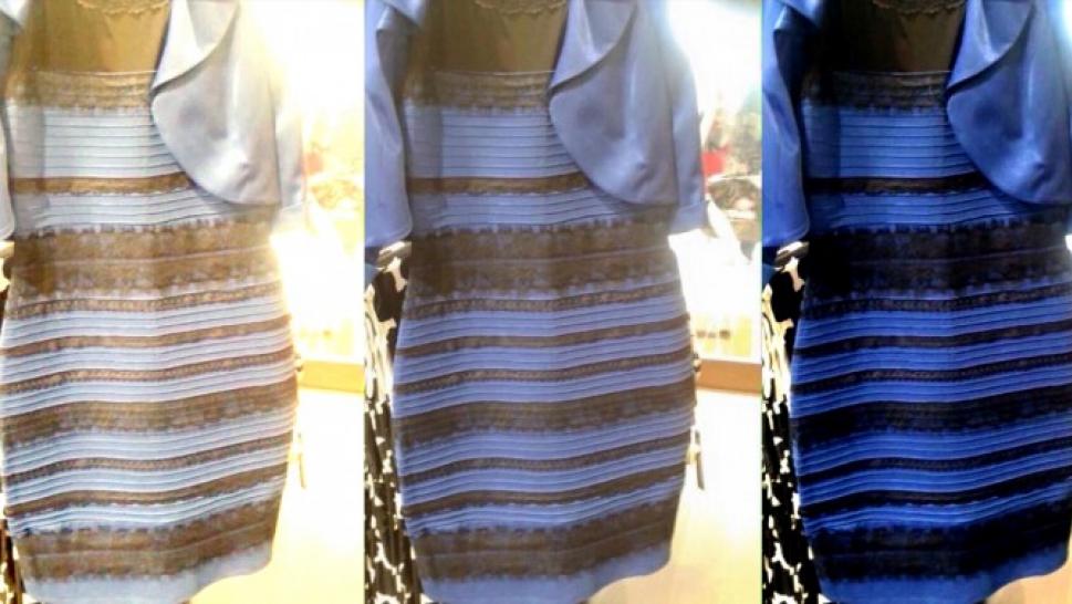 What Color Is The Dress Blank Meme Template