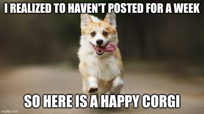 I'm still alive! | I REALIZED TO HAVEN'T POSTED FOR A WEEK; SO HERE IS A HAPPY CORGI | image tagged in dog | made w/ Imgflip meme maker