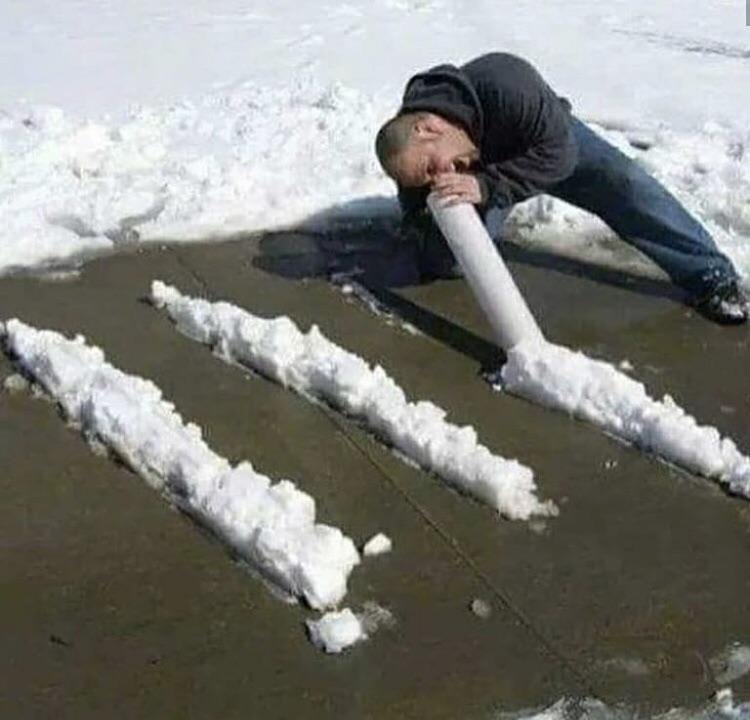 snorting snow Blank Meme Template