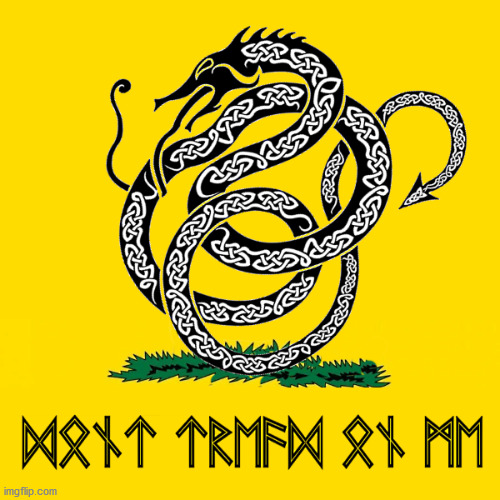 Don't tread on Me - Nordic | image tagged in gadsden flag,runes,jormungand,nidhogg,norse,viking | made w/ Imgflip meme maker