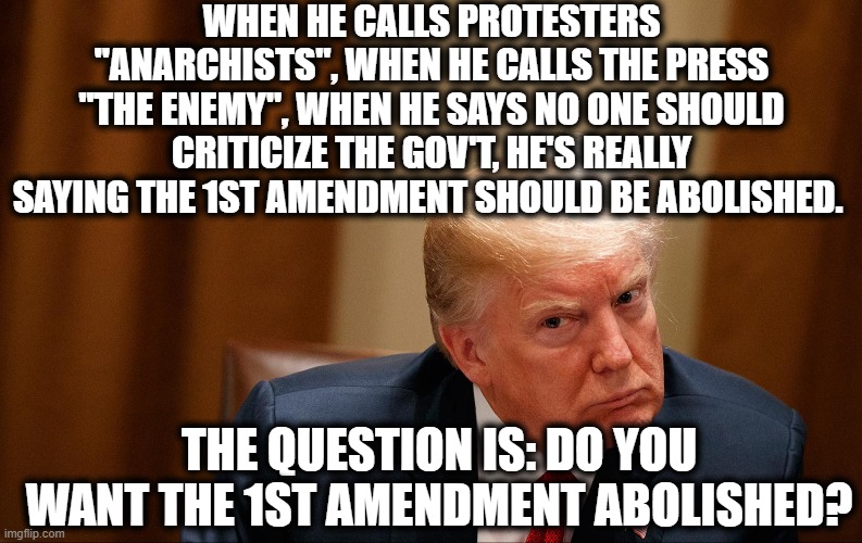 Do you REALLY understand what you are supporting? | WHEN HE CALLS PROTESTERS "ANARCHISTS", WHEN HE CALLS THE PRESS "THE ENEMY", WHEN HE SAYS NO ONE SHOULD CRITICIZE THE GOV'T, HE'S REALLY SAYING THE 1ST AMENDMENT SHOULD BE ABOLISHED. THE QUESTION IS: DO YOU WANT THE 1ST AMENDMENT ABOLISHED? | image tagged in donald trump,constitution,first amendment,traitor,election 2020,free speech | made w/ Imgflip meme maker