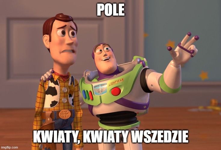 kwiaty wszedzie | POLE; KWIATY, KWIATY WSZEDZIE | image tagged in memes,x x everywhere | made w/ Imgflip meme maker