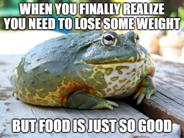 I can't see my neck.. | WHEN YOU FINALLY REALIZE YOU NEED TO LOSE SOME WEIGHT; BUT FOOD IS JUST SO GOOD | image tagged in frog,fat,overweight,funny memes,getting old | made w/ Imgflip meme maker
