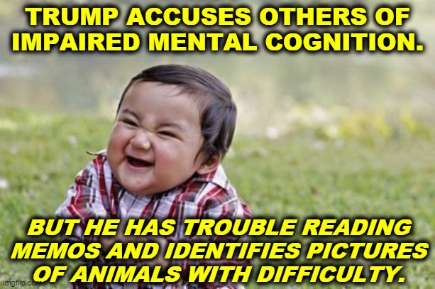 Pot, meet kettle. | TRUMP ACCUSES OTHERS OF IMPAIRED MENTAL COGNITION. BUT HE HAS TROUBLE READING MEMOS AND IDENTIFIES PICTURES OF ANIMALS WITH DIFFICULTY. | image tagged in memes,evil toddler,trump,senile,alzheimers,mental illness | made w/ Imgflip meme maker
