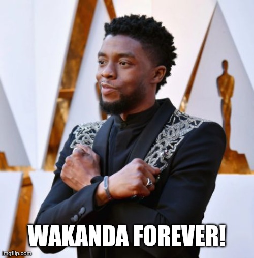 Wakanda Forever | WAKANDA FOREVER! | image tagged in wakanda forever | made w/ Imgflip meme maker