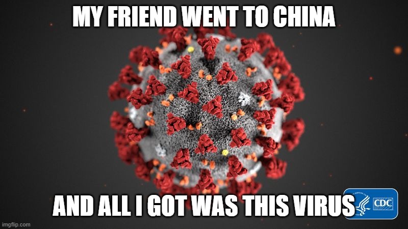 My Friend Went to China And All I Got Was This COVID-19 Virus | MY FRIEND WENT TO CHINA; AND ALL I GOT WAS THIS VIRUS | image tagged in covid 19 | made w/ Imgflip meme maker