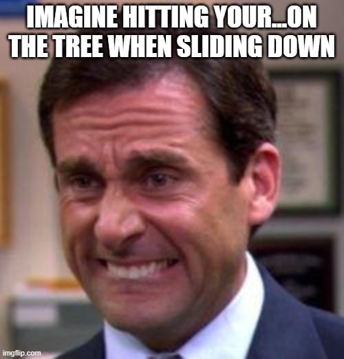 Michael Scott | IMAGINE HITTING YOUR...ON THE TREE WHEN SLIDING DOWN | image tagged in michael scott | made w/ Imgflip meme maker