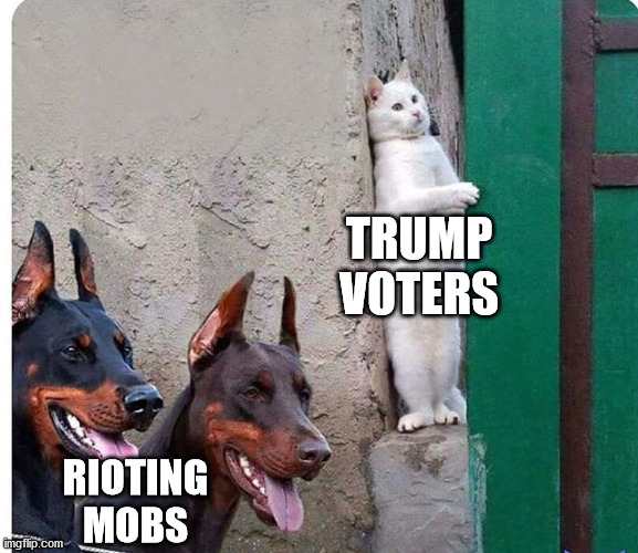 Hidden cat | TRUMP VOTERS; RIOTING MOBS | image tagged in hidden cat,trump 2020,rioters,tyranny,democrats | made w/ Imgflip meme maker