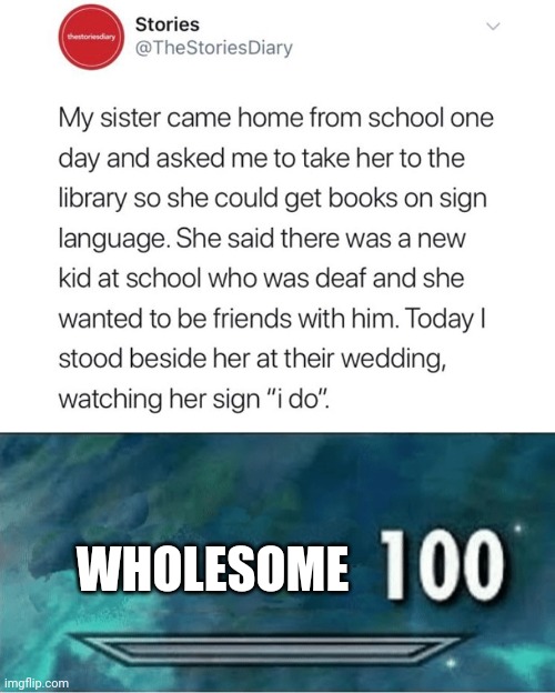 This is indeed wholesome. | WHOLESOME | image tagged in skyrim 100 blank,wholesome,memes,funny,texts,sign language | made w/ Imgflip meme maker