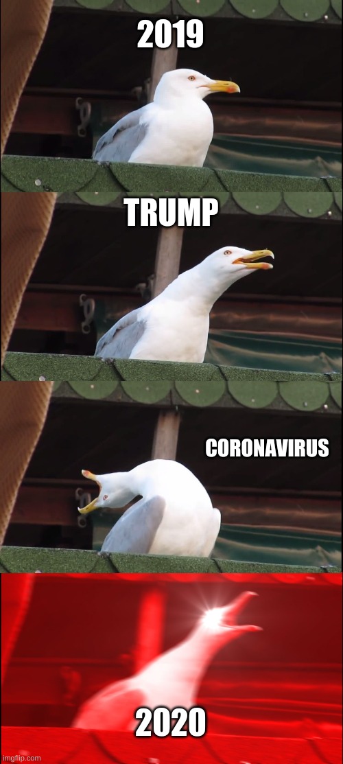 Inhaling Seagull Meme | 2019; TRUMP; CORONAVIRUS; 2020 | image tagged in memes,inhaling seagull | made w/ Imgflip meme maker