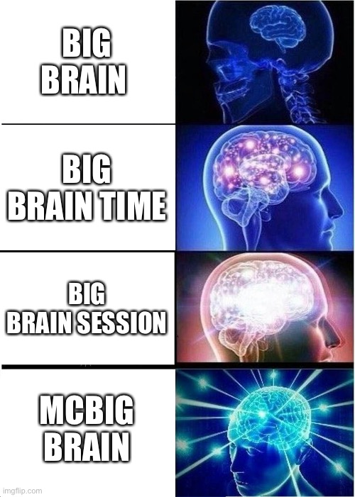 Expanding Brain | BIG BRAIN; BIG BRAIN TIME; BIG BRAIN SESSION; MCBIG BRAIN | image tagged in memes,expanding brain | made w/ Imgflip meme maker