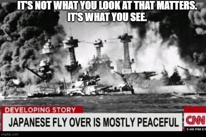 It's Not What You Look At That Matters, It's What You See. | IT'S NOT WHAT YOU LOOK AT THAT MATTERS.
IT'S WHAT YOU SEE. | image tagged in fake news | made w/ Imgflip meme maker