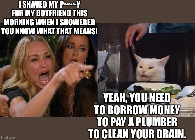 Woman yelling at cat | I SHAVED MY P~~~Y FOR MY BOYFRIEND THIS MORNING WHEN I SHOWERED YOU KNOW WHAT THAT MEANS! YEAH, YOU NEED TO BORROW MONEY TO PAY A PLUMBER TO CLEAN YOUR DRAIN. | image tagged in woman yelling at smudge the cat | made w/ Imgflip meme maker