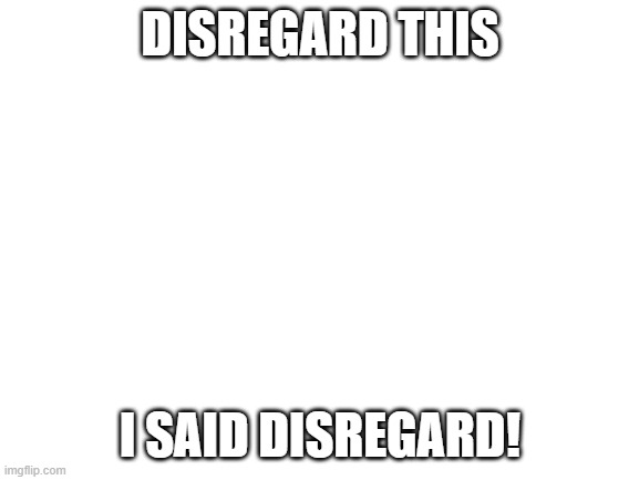 Blank White Template | DISREGARD THIS; I SAID DISREGARD! | image tagged in blank white template | made w/ Imgflip meme maker