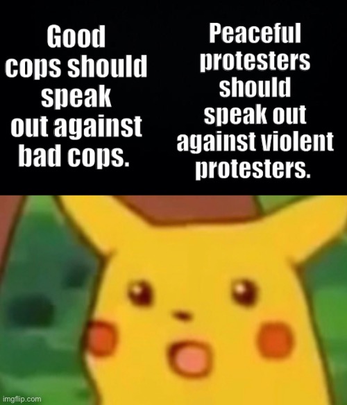 Hate is not logical | image tagged in pikachu,politics,cops,protest,common sense | made w/ Imgflip meme maker