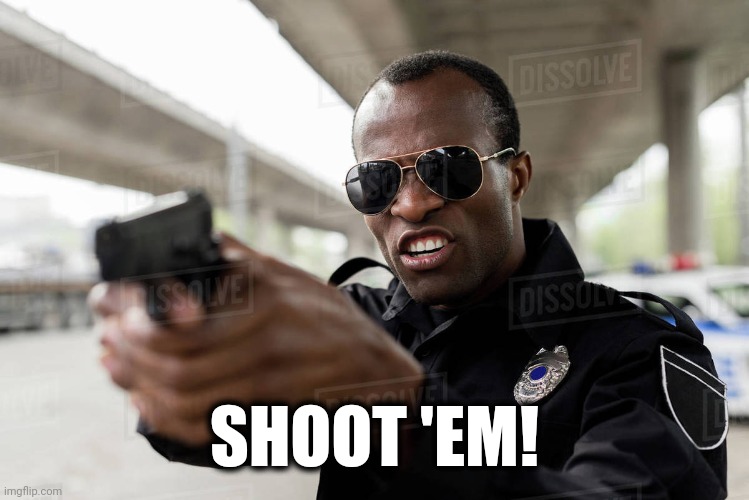 SHOOT 'EM! | made w/ Imgflip meme maker
