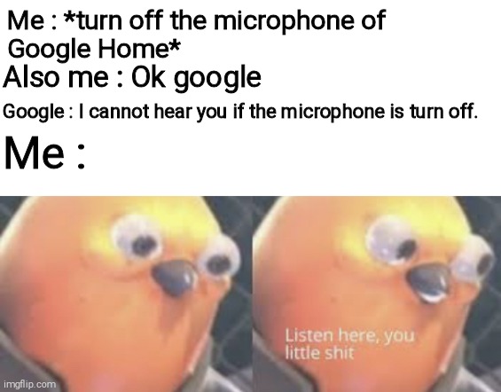 They listen to everyone right now | Me : *turn off the microphone of 
Google Home*; Also me : Ok google; Google : I cannot hear you if the microphone is turn off. Me : | image tagged in listen here you little shit bird | made w/ Imgflip meme maker