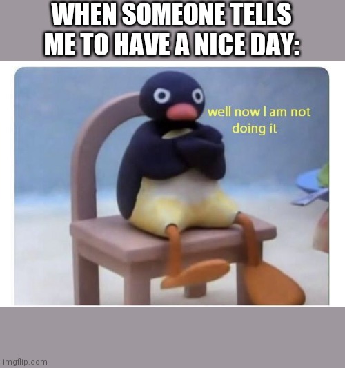 Well now I'm not doing it | WHEN SOMEONE TELLS ME TO HAVE A NICE DAY: | image tagged in well now i am not doing it | made w/ Imgflip meme maker