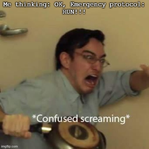 filthy frank confused scream | Me thinking: OK, Emergency protocol:

RUN!!! | image tagged in filthy frank confused scream | made w/ Imgflip meme maker
