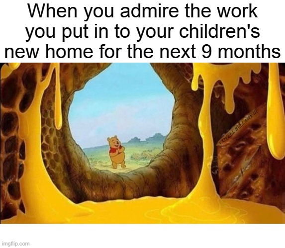When you admire the work you put in to your children's new home for the next 9 months; COVELL BELLAMY III | image tagged in winnie the pooh admiring your work for your children's new home | made w/ Imgflip meme maker