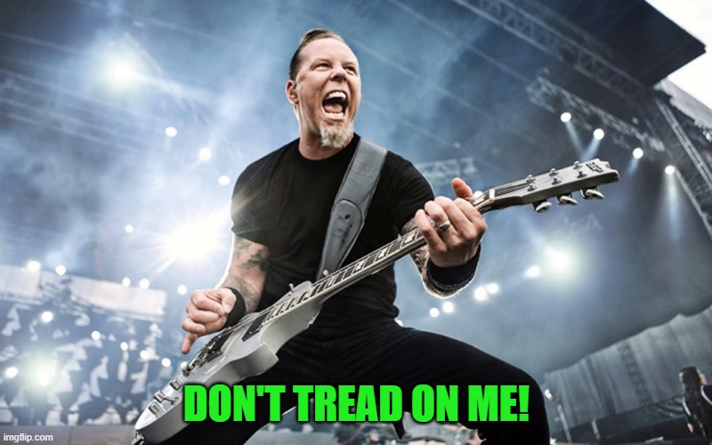 James Hetfield Yelling | DON'T TREAD ON ME! | image tagged in james hetfield yelling | made w/ Imgflip meme maker